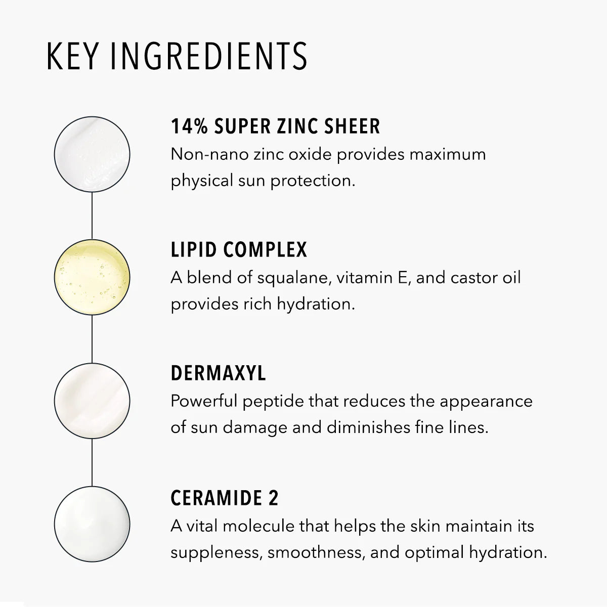 List of key ingredients with corresponding descriptions on a white background
