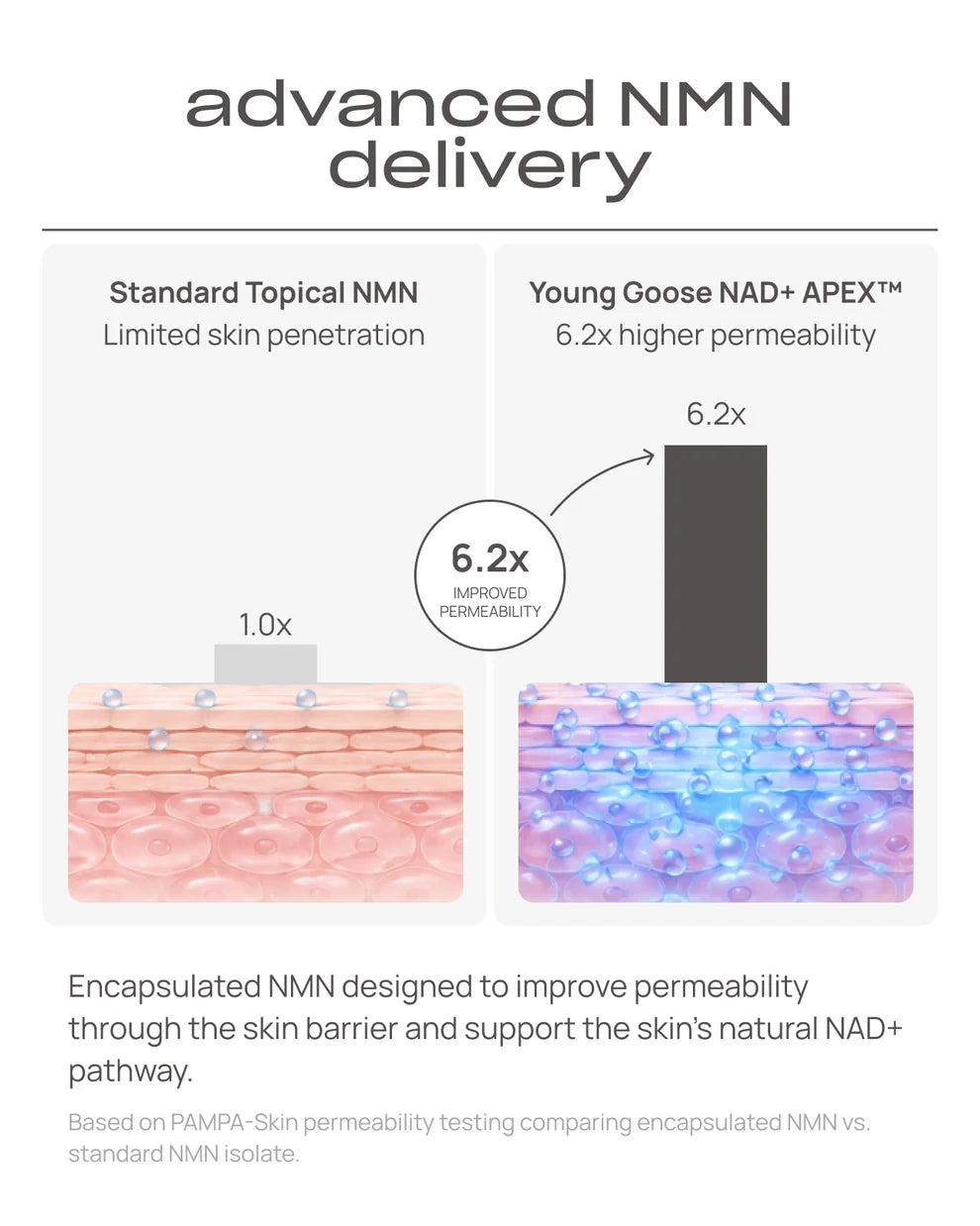 An infographic comparing standard topical NMN and Young Goose NAD+ APEX encapsulated NMN, showing a bar graph with 1.0x and 6.