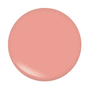 Bougiee Cosmetics Lipgloss All That
