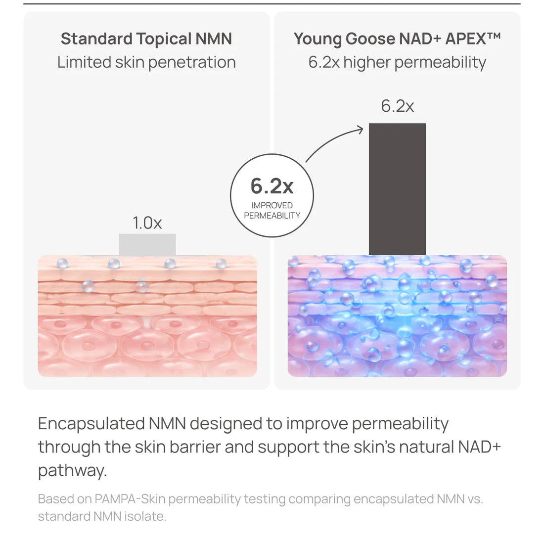 An infographic comparing standard topical NMN and Young Goose NAD+ APEX encapsulated NMN, showing a bar graph with 1.0x and 6.